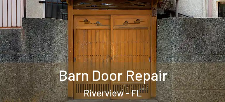  Barn Door Repair Riverview - FL