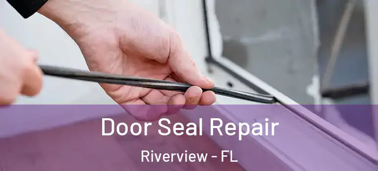  Door Seal Repair Riverview - FL
