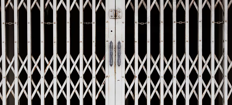 Steel Line Garage Door Repairs in Riverview, FL