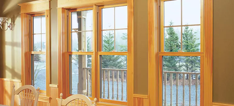 Government Incentives For Replacement Windows in Riverview, FL